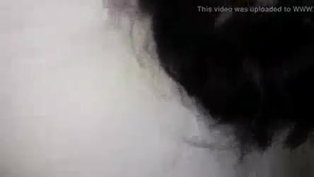 Екстремно еротични клип за сисање маца
